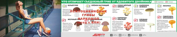 ECSTASY Рославль