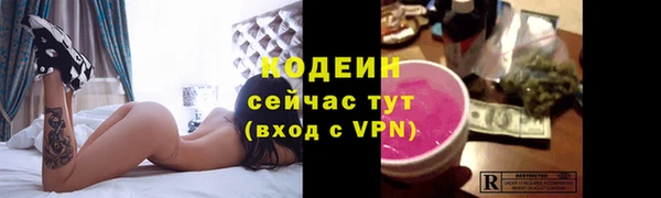 молекула духа Богородск