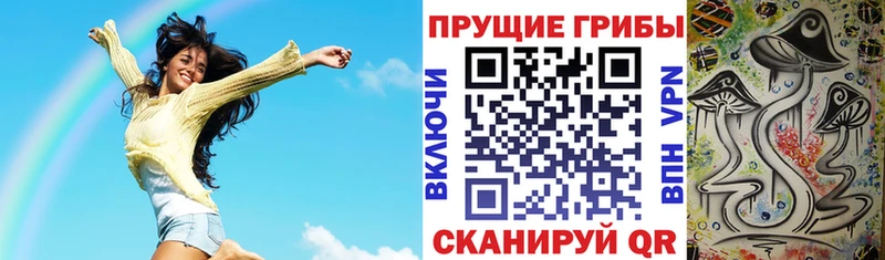 Галлюциногенные грибы Cubensis Киржач