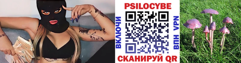 как найти закладки  Киржач  Галлюциногенные грибы мицелий 