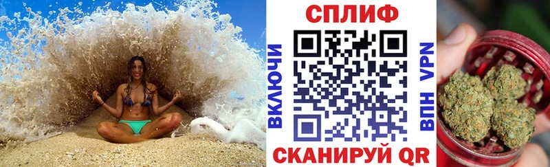сколько стоит  Киржач  Конопля ГИДРОПОН 